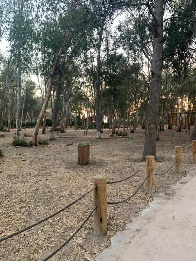 טנג'יר Charming, Peaceful House, Between Forest And Sea מראה חיצוני תמונה