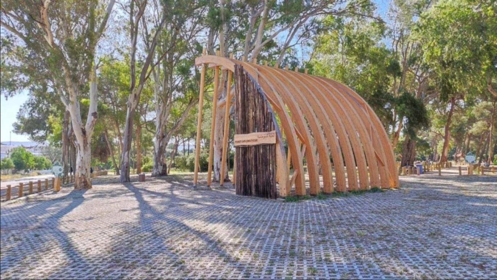 טנג'יר Charming, Peaceful House, Between Forest And Sea מראה חיצוני תמונה